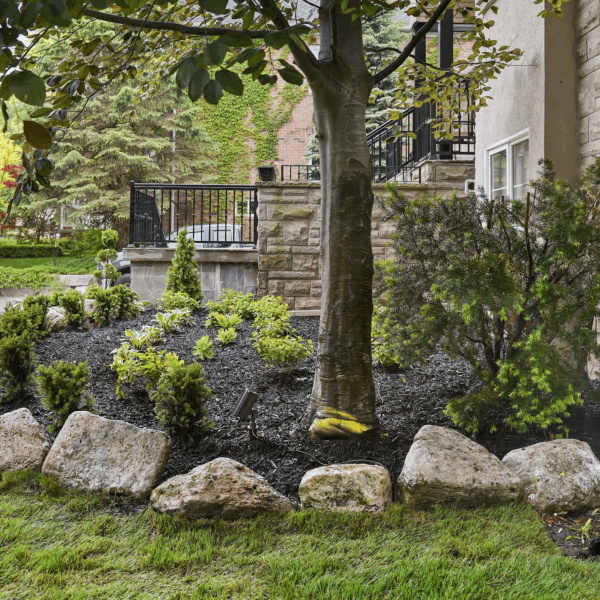 Screenshot 2025-06-20 at 7.15.26 PM